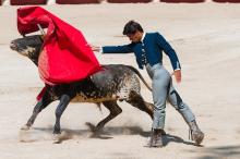 Corrida de Toros