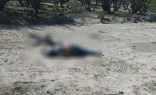 Hasta el momento no han sido identificados y se desconocen las causas de la muerte