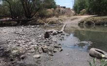 Río San Pedro