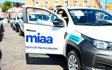 MIAA