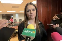 Diputada Alma Hilda 