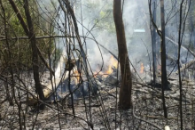 Avioneta explota durante vuelo el Brasil; saldo de 12 muertos, entre ellos un bebé