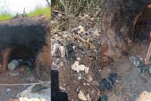 Halla Madres Buscadoras un horno clandestino con restos humanos en Jalisco