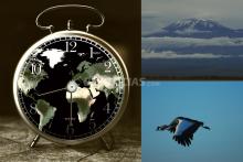 Crisis Climática 