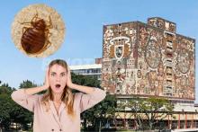¡Por si las chinches! UNAM fumigará sus instalaciones nuevamente por supuesta plaga