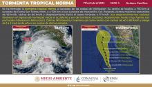 Norma 