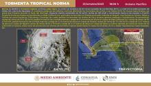 Norma 