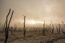 La Tierra registra el mes de septiembre más caluroso de la historia