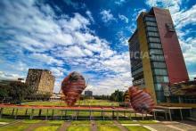 UNAM descarta plaga de chinches; videos evidencian lo contrario 