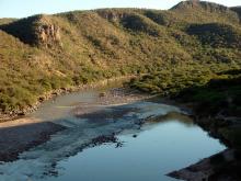 Río Sonora