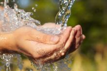 Agua 