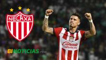 CHICOTE NECAXA