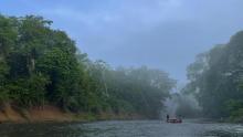 Selva