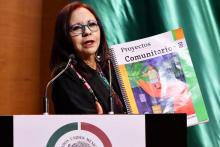 Titular de la SEP comparece ante la comisión de Educación desatando llamados de renuncia
