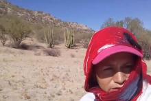 Atacan a Colectivo de Madres Buscadoras durante jornada de búsqueda en Hermosillo