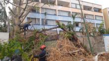 Unión Europea dona 1.3 millones de euros a damnificados del huracán Otis