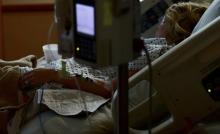 Noelia es hospitalizada tras sufrir accidente a caballo 