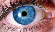Ojo humano 