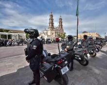 Elementos de seguridad del Estado
