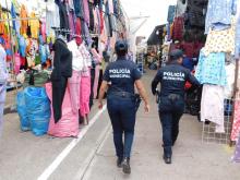 Seguridad Pública