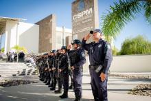 Seguridad Pública