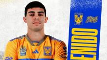 BRUNETTA TIGRES