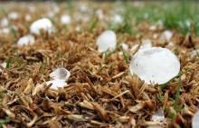 Hoy Aguascalientes espera lluvias fuertes y hasta caída de granizo