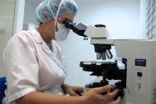 microscopio