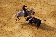 Corridas de toros 