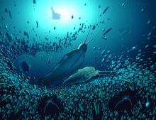 Se trataría de carnivoros de más de 518 millones de años en la columna de agua.