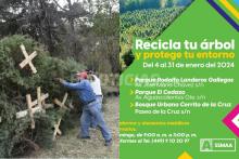 Tu árbol navideño natural ahora puede servir como composta