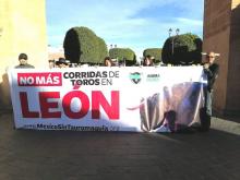 La organización ha logrado recabar más de 81,000 firmas de personas que exigen la prohibición de las corridas de toros en México.