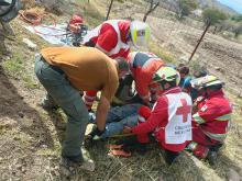 El conductor del vehículo particular quedó prensado y tuvo que ser rescatado con equipo hidráulico