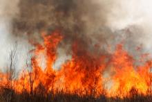 Incendios
