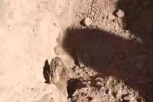 Madres en Sonora descubren 17 fosas clandestinas con restos humanos