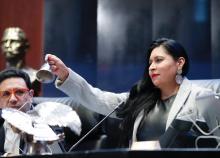 Presidenta del Senado anticipa un periodo de sesiones 2024 dinámico