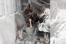 Cuatro muertos en Estados Unidos por tormenta invernal