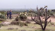 Otra vez Zacatecas: ahora 8 muertos por enfrentamiento armado 