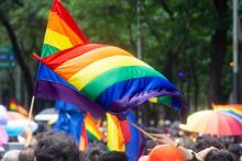 Prepara Senado reforma para sancionar delitos de odio
