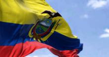 https://www.binoticias.com/mundo/ecuador-implementa-toque-de-queda-diferenciado-y-reinicia-clases-presenciales