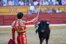 Amparo presentado por asociaciones busca impedir el regreso de las corridas de toros en la CDMX