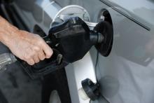 Gasolina