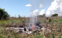 Siete personas pierden la vida en la caída de una avioneta en Brasil