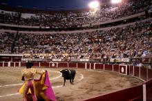 Corridas