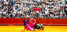 TOROS