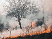 Incendios forestales 