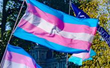 Bandera trans 