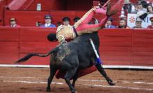 El tercer toro de la cartelera generó una herida de 20 centímetros en su muslo derecho.