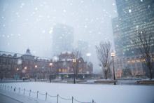 Más de 100 vuelos cancelados y cortes en el transporte público por nevadas en Tokio