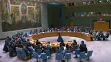 ONU (289), Estados Unidos (253), Palestina (7082), Conflicto en Israel (13367), Franja de Gaza (7870)